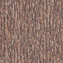 Ταπετσαρία Τοίχου AS36872-2